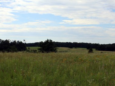 İnişli çıkışlı tepeler, mavi gökyüzü ve bulutlar ile bir çayır
