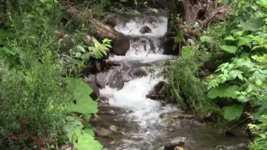 Güçlü dağ akıntısı suları rulolardan geçirir.