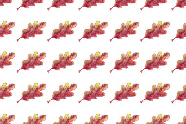 Beyaz arka plan üzerinde dikişsiz desen suluboya meşe yaprağı.