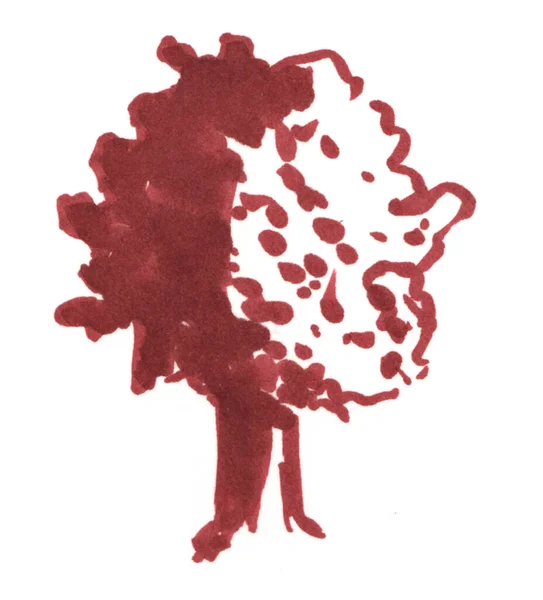 树的草图，橡木手绘记号，白色背景上孤立的图解 — 图库照片