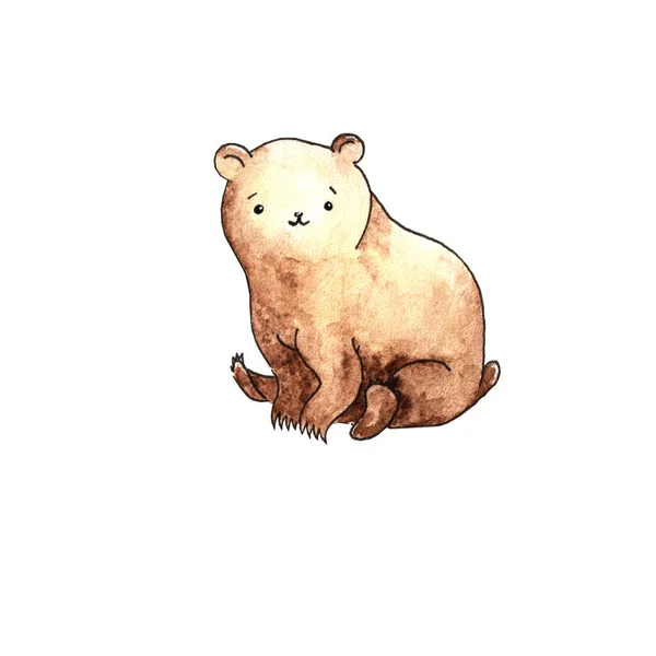 Brown bear, watercolor illustration. Isolated on a white background. — Stock Photo, Image