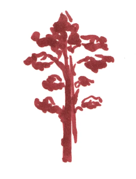 하얀 배경에 고립된 나무 스케치, 소나무 손으로 그린 마커 그림 — 스톡 사진