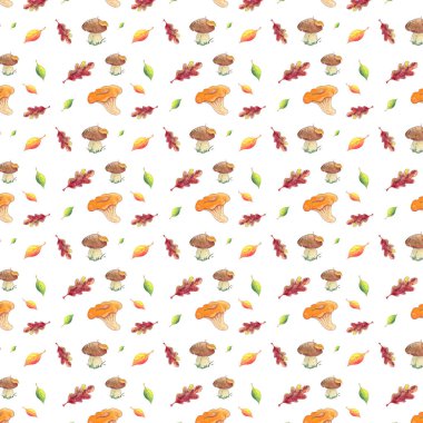 Beyaz arka planda kusursuz suluboya yaprakları ve mantarlar..