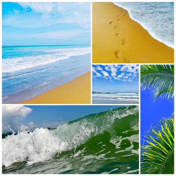 Letní pláž krajiny Foto koláž — Stock fotografie
