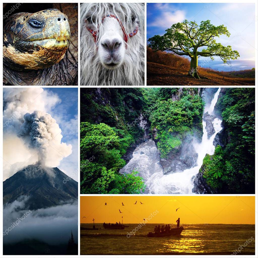 Ecuador. Nature photo collage