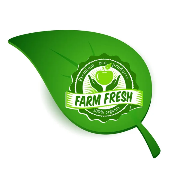 Eco organic bio food leaf logo — Stock Vector