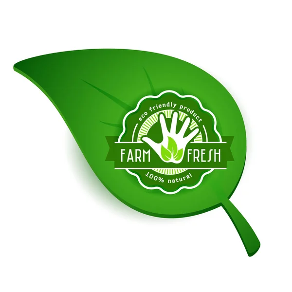 Eco bio alimentaire logo feuille — Image vectorielle