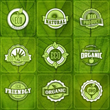 Organik doğal çevre gıda etiketleri logo koymak