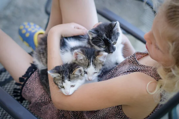 つの愛らしい黒と白小さな猫ペット子供の手で — ストック写真