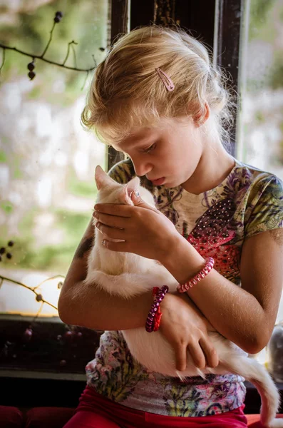 Küçük Sevimli Bir Kız Holding Şirin Beyaz Kedi — Stok fotoğraf