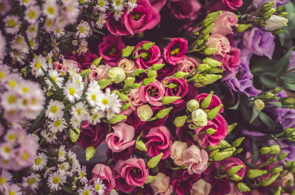 Grupo Hermosas Flores Color Rosa Blanco Como Fondo Floral — Foto de Stock