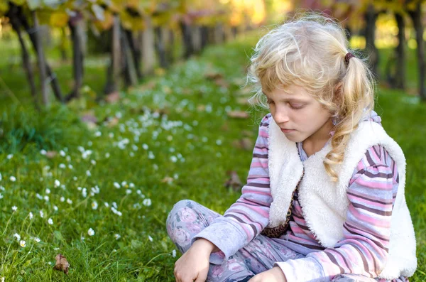 Entzückendes Kleines Blondes Mädchen Herbst Weinberg — Stockfoto