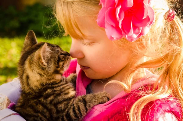 Pequeño Niño Encantador Con Gato Mascota Las Manos — Foto de Stock