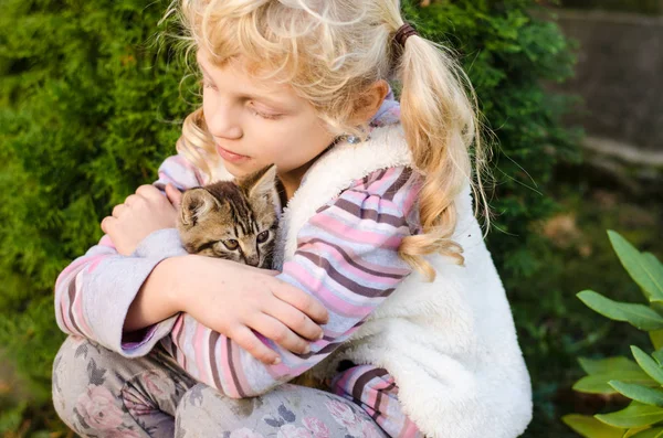 Mooie Kindje Met Kat Huisdier Handen — Stockfoto