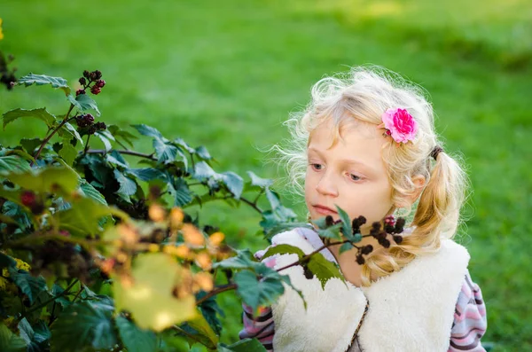 Adorável Menina Loira Outono Natureza — Fotografia de Stock
