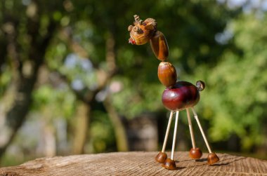 yaratıcı komik hayvan figürü kestane ve meşe palamutları briar dekorasyon çim ile yapılan