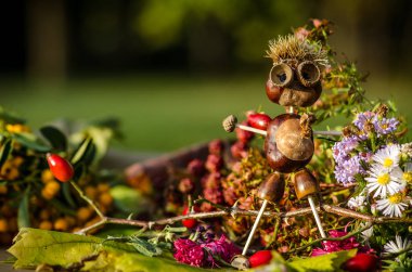 Sonbahar meyve tatlı fantezi rakamlı para kazandı ve açık havada poz sebze doğa düşmek