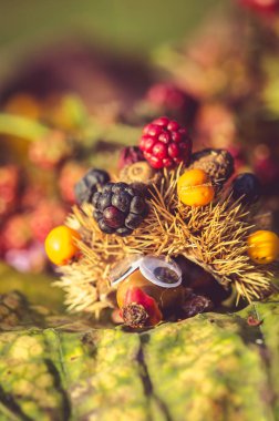 şirin fantezi figürleri ile parlak renkler sonbahar böğürtlen meyve ve kestane yapılmış