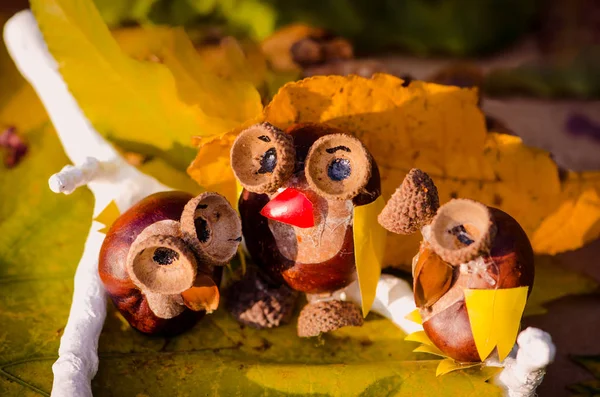 Little Funny Animal Figures Owls Made Chestnut Acorns Outdoors Nature — Stock Photo, Image