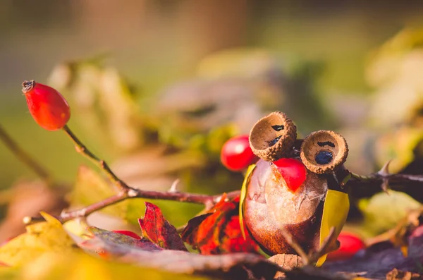 自然の栗とドングリの屋外から作られたフクロウの少しおかしい動物フィギュア — ストック写真