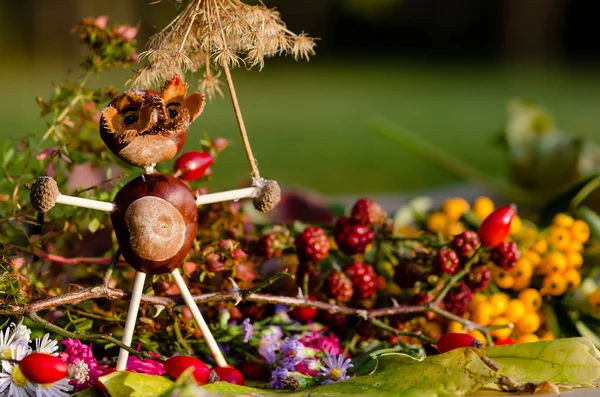 秋季水果和蔬菜在秋季自然户外制作的可爱幻想人物 — 图库照片