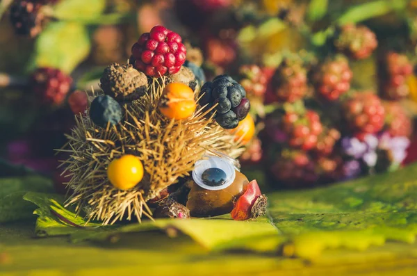 栗と秋のブラックベリーの果実から作られた明るい色でかわいいファンタジーフィギュア — ストック写真