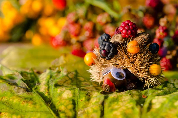 栗と秋のブラックベリーの果実から作られた明るい色でかわいいファンタジーフィギュア — ストック写真