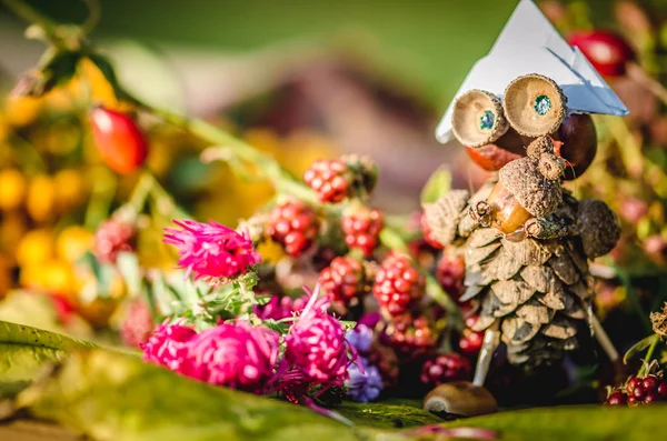 秋の果物や野菜製品から作られた鮮やかな色と素敵な数字 — ストック写真