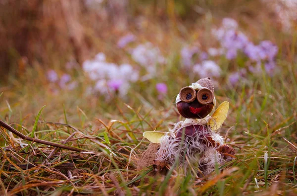 Cute Funny Fantasy Figure Made Autumn Chestnut Fruit Green Grass — Stock Photo, Image