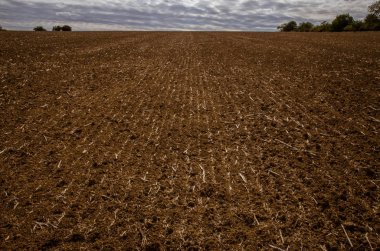 sürülmüş alan ve mavi gökyüzü manzara