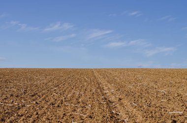 sürülmüş alan ve mavi gökyüzü manzara