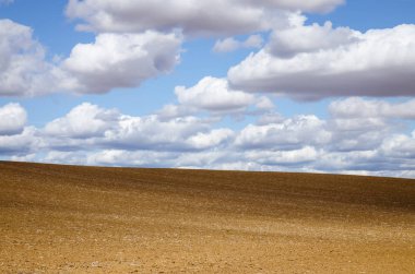 sürülmüş alan ve mavi gökyüzü manzara güzel manzara