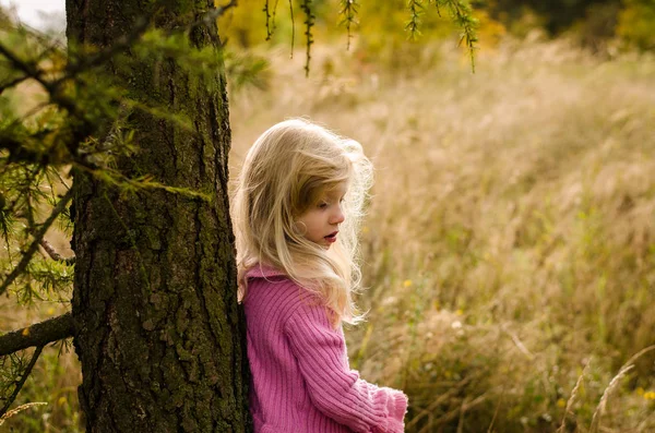 Piccola Bella Ragazza Sola Nella Foresta Autunnale — Foto Stock