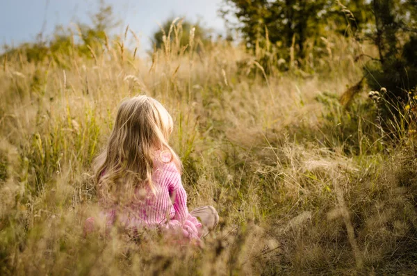 Niña Encantadora Con Vista Trasera Larga Rubia Relajante Prado Otoño — Foto de Stock