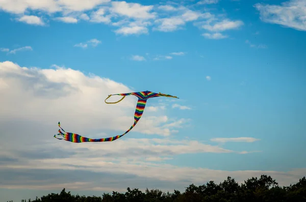 Pipa Colorida Voando Céu Azul Com Nuvens — Fotografia de Stock