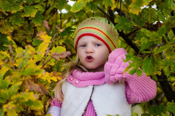 Little Lovely Girl Having Fun Autumn Forest — Stock Photo, Image