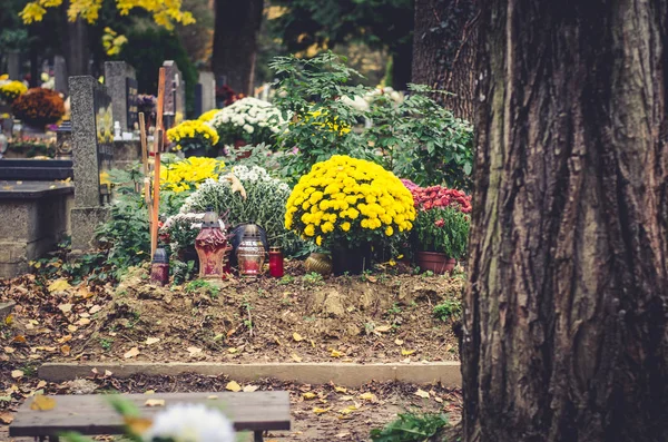 Decorações Flores Para Dia Todos Santos Cemitério — Fotografia de Stock