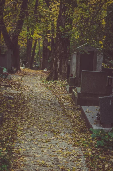 Autunno Nel Cimitero Ognissanti — Foto Stock