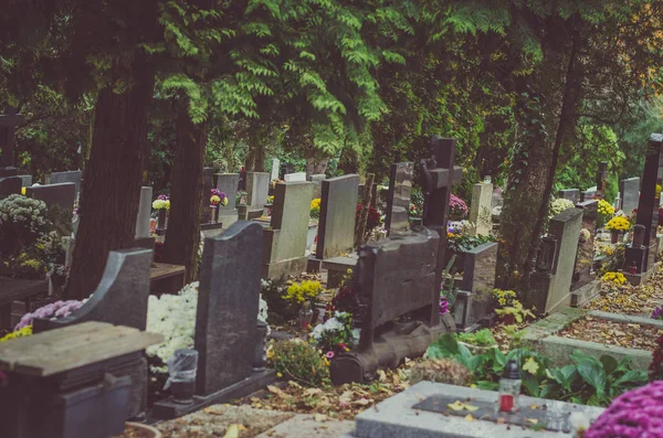 decorated graves in cemetery during All Saints Day in autumn time