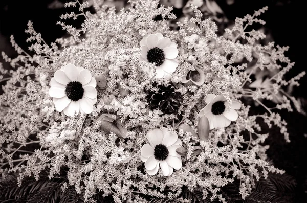 Decoração Flores Coloridas Secas Cemitério Dia Todos Santos Outono Tempo — Fotografia de Stock