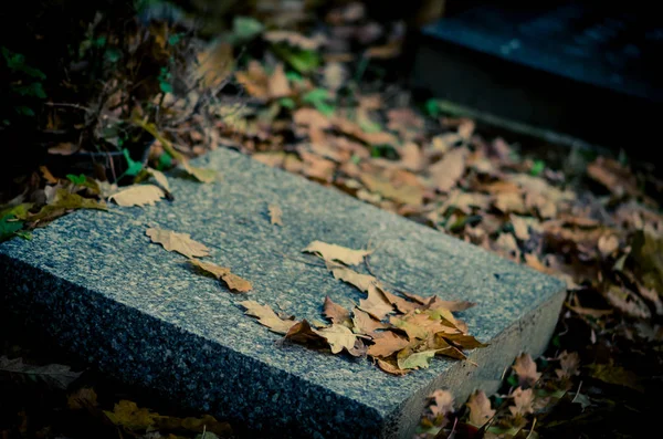 Gräber Mit Allerheiligen Dekoration Und Blättern Herbstlicher Atmosphäre — Stockfoto
