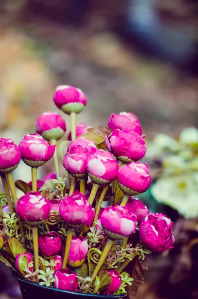 Tombe Con Decorazione All Saint Day Foglie Atmosfera Autunnale — Foto Stock