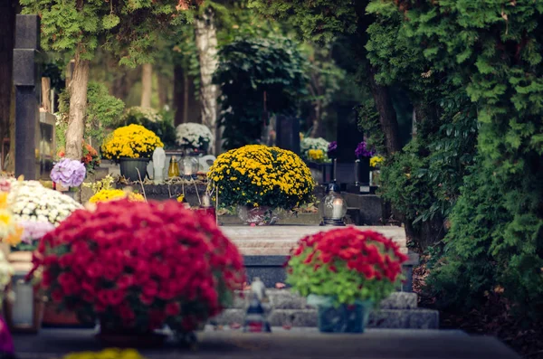 Tumbas Con Decoración Flores Crisantemo Todo Día Santo Ambiente Otoño —  Fotos de Stock