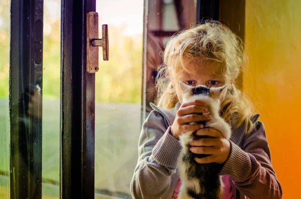 Cam Kenarında Oturan Bir Kedi Tutan Güzel Sarışın Kız — Stok fotoğraf