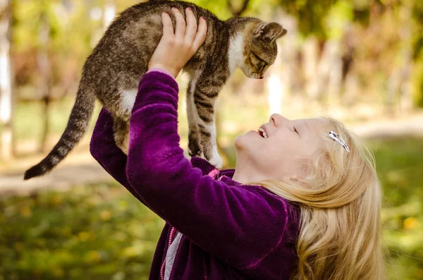 Прекрасна Блондинка Тримає Пухнастий Кіт Сміється Разом — стокове фото