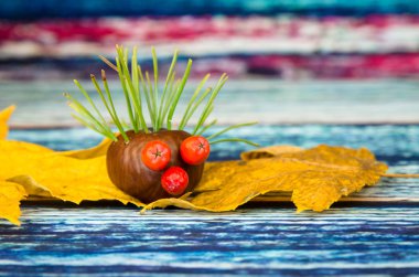 kestane yapılan güzel sonbahar rakamlar