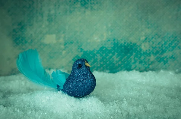 Lśniący Niebieski Ptak Snowy Tle — Zdjęcie stockowe