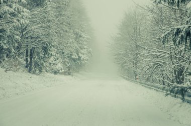 uzun kış yol kar kış ormanı/EC