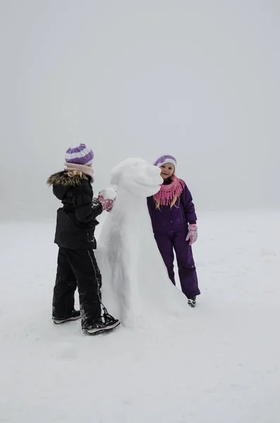 Little Girls Winter Time Building Figure Dog Snow — Stock Photo, Image