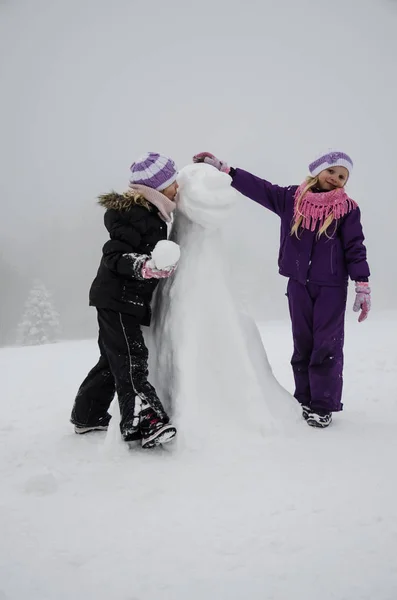 Små Flickor Vintertid Att Bygga Siffra Hund Från Snö — Stockfoto